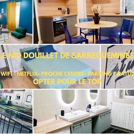 Apartament Le Nid Douillet De Sarreguemines Zewnętrze zdjęcie